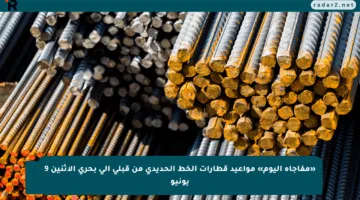 «مفاجأة اليوم» مواعيد قطارات الخط الحديدي من قبلي إلى بحري الاثنين 9 يونيو